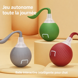 RollPlay — Balle Interactive pour Chat qui S'Ennuie