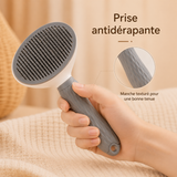 Doux — Brosse Autonettoyante pour Chat qui Perd ses Poils