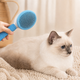 Doux — Brosse Autonettoyante pour Chat qui Perd ses Poils