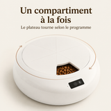 Distributeur Automatique 6 Repas — Croquettes et Pâtée Programmées