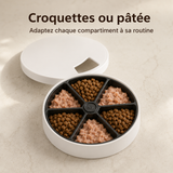 Distributeur Automatique 6 Repas — Croquettes et Pâtée Programmées