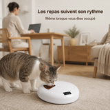 Distributeur Automatique 6 Repas — Croquettes et Pâtée Programmées
