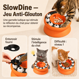 SlowDine — Gamelle Anti-Glouton pour Chat qui Mange Trop Vite