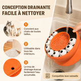 SlowDine — Gamelle Anti-Glouton pour Chat qui Mange Trop Vite