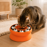 SlowDine — Gamelle Anti-Glouton pour Chat qui Mange Trop Vite