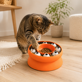 SlowDine — Gamelle Anti-Glouton pour Chat qui Mange Trop Vite