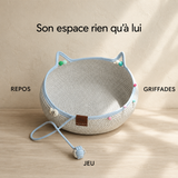 Griffoir-Lit 2 en 1 — Espace Repos et Griffades avec Balles