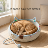 Griffoir-Lit 2 en 1 — Espace Repos et Griffades avec Balles