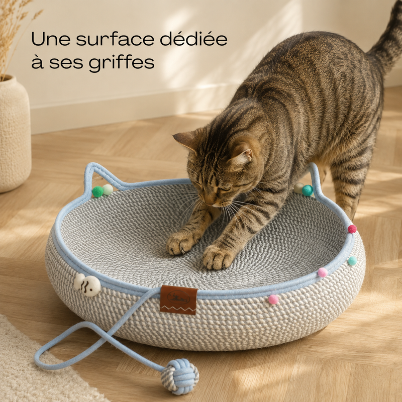 Griffoir-Lit 2 en 1 — Espace Repos et Griffades avec Balles