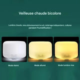 Diffuseur d'Arômes ZenWood™ 500ML | Transformez Votre Maison en Oasis de Détente