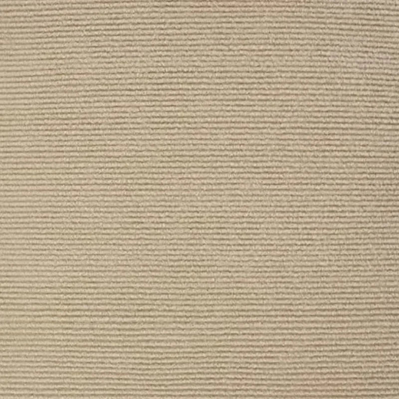 Griffoir Mural — Pour Chat qui Griffe les Meubles