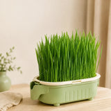 Kit Repas Zen — SlowDine + Tapis de Fouille + Herbe à Chat