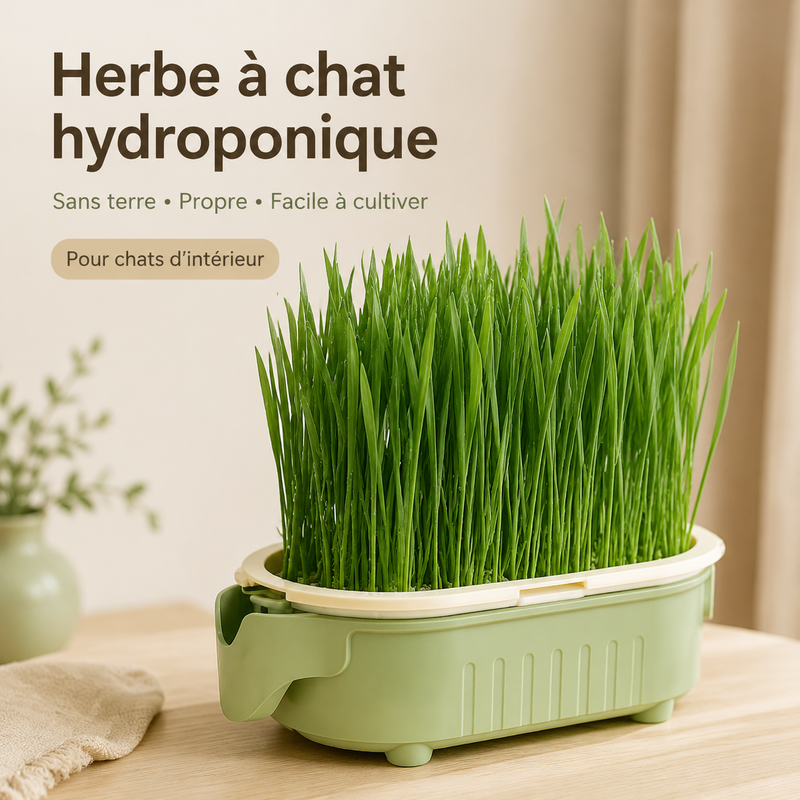 Pousse — Pot Réutilisable pour Herbe à Chat