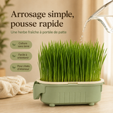 Pousse — Pot Réutilisable pour Herbe à Chat