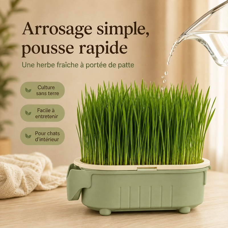 Pousse — Pot Réutilisable pour Herbe à Chat