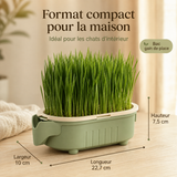Pousse — Pot Réutilisable pour Herbe à Chat