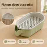 Pousse — Pot Réutilisable pour Herbe à Chat