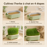 Pousse — Pot Réutilisable pour Herbe à Chat